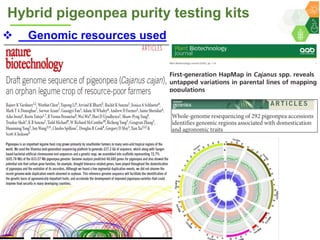 ICRISAT Governing Board 2019 PC meeting: Hybrid pigeonpea purity testing kits - by Dr Rachit K Saxena