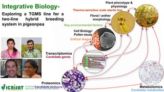 ICRISAT Governing Board 2019 PC meeting: Systems Biology Research Initiative @ ICRISAT  - by Dr Rajeev K Varshney
