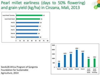 ICRISAT Governing Board 2019 PC meeting: Drylands in transition - Fast-track identification and upscalingof pearl millet hybrids in Sub-Sahelian Africa under Indo-African Public-Private Sector Partnership - by Dr SK Gupta and team