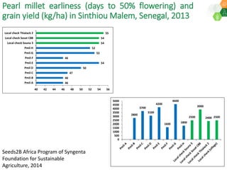 ICRISAT Governing Board 2019 PC meeting: Drylands in transition - Fast-track identification and upscalingof pearl millet hybrids in Sub-Sahelian Africa under Indo-African Public-Private Sector Partnership - by Dr SK Gupta and team