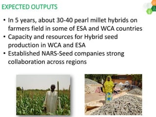 ICRISAT Governing Board 2019 PC meeting: Drylands in transition - Fast-track identification and upscalingof pearl millet hybrids in Sub-Sahelian Africa under Indo-African Public-Private Sector Partnership - by Dr SK Gupta and team