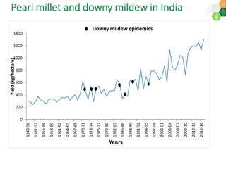 ICRISAT Governing Board 2019 PC meeting: Drylands in transition - Fast-track identification and upscalingof pearl millet hybrids in Sub-Sahelian Africa under Indo-African Public-Private Sector Partnership - by Dr SK Gupta and team