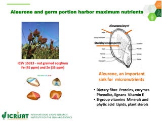 ICRISAT Governing Board 2019 PC meeting: Multifactorial enhancement of sorghum grain nutrients and biomass energy density for improved human and livestock health and nutrition - by Dr Pooja Bhatnagar-Mathur and team