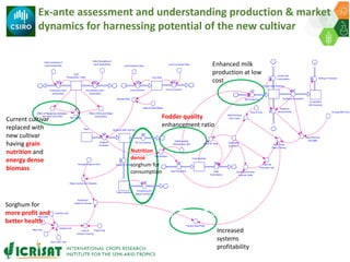 ICRISAT Governing Board 2019 PC meeting: Multifactorial enhancement of sorghum grain nutrients and biomass energy density for improved human and livestock health and nutrition - by Dr Pooja Bhatnagar-Mathur and team
