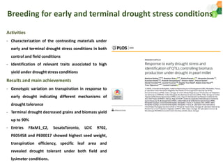 ICRISAT Governing Board 2019 PC meeting : Genetic improvement of Pearl millet for West Africa by Dr Prakash  Gangashetty