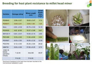 ICRISAT Governing Board 2019 PC meeting : Genetic improvement of Pearl millet for West Africa by Dr Prakash  Gangashetty