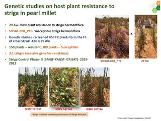 ICRISAT Governing Board 2019 PC meeting : Genetic improvement of Pearl millet for West Africa by Dr Prakash  Gangashetty