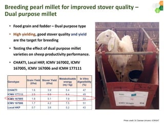 ICRISAT Governing Board 2019 PC meeting : Genetic improvement of Pearl millet for West Africa by Dr Prakash  Gangashetty