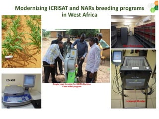 ICRISAT Governing Board 2019 PC meeting : Genetic improvement of Pearl millet for West Africa by Dr Prakash  Gangashetty