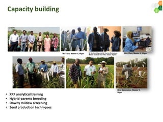 ICRISAT Governing Board 2019 PC meeting : Genetic improvement of Pearl millet for West Africa by Dr Prakash  Gangashetty