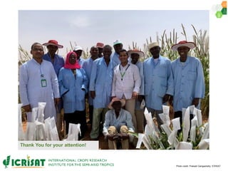ICRISAT Governing Board 2019 PC meeting : Genetic improvement of Pearl millet for West Africa by Dr Prakash  Gangashetty