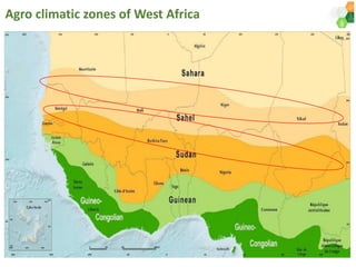 ICRISAT Governing Board 2019 PC meeting : Genetic improvement of Pearl millet for West Africa by Dr Prakash  Gangashetty