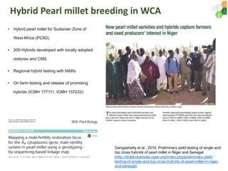 ICRISAT Governing Board 2019 PC meeting : Genetic improvement of Pearl millet for West Africa by Dr Prakash  Gangashetty
