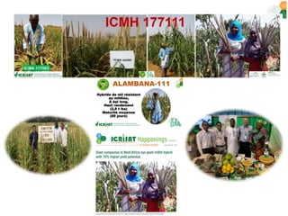 ICRISAT Governing Board 2019 PC meeting : Genetic improvement of Pearl millet for West Africa by Dr Prakash  Gangashetty