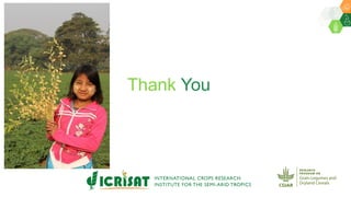 ICRISAT Governing Board 2019 PC meeting : Innovations in chickpea breeding for high impacts in farmers’ fields Dr Pooran Gaur