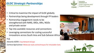 ICRISAT Governing Board 2019 PC meeting: CRP-GLDC:  Progress so far 2018-19 by Dr Kiran K Sharma