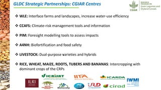 ICRISAT Governing Board 2019 PC meeting: CRP-GLDC:  Progress so far 2018-19 by Dr Kiran K Sharma