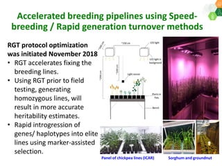 ICRISAT Governing Board 2019 PC meeting: Modernising ICRISAT Crop Improvement (Adapting Industry-Proven Processes for Public Institutions)-by Dr Jan Debaene