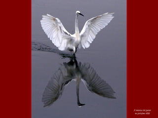 A música irá parar
no próximo slide
 