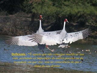 Deficiente : “É aquele que não consegue modificar sua
vida, aceitando as imposições de outras pessoas ou da
sociedade em que vive, sem ter consciência de que é
dono do seu destino.
 