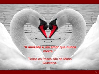Fim
"A amizade é um amor que nunca
morre. "
Todas as frases são de Mário
Quintana.
 