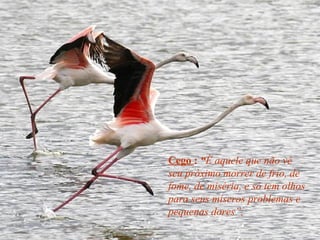 Cego : “É aquele que não vê
seu próximo morrer de frio, de
fome, de miséria, e só tem olhos
para seus míseros problemas e
pequenas dores”.
 