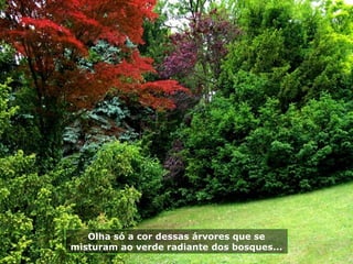 Olha só a cor dessas árvores que se
misturam ao verde radiante dos bosques...
 