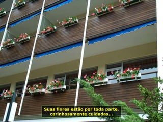 Suas flores estão por toda parte,
carinhosamente cuidadas...
 