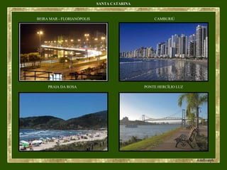 SANTA CATARINASANTA CATARINA
BEIRA MAR - FLORIANÓPOLIS CAMBURIÚ
PRAIA DA ROSA PONTE HERCÍLIO LUZ
 