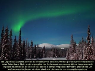 Na Lapónia as Auroras Boreais são observáveis durante 200 dias por ano preferencialmenteNa Lapónia as Auroras Boreais são observáveis durante 200 dias por ano preferencialmente
entre Setembro e Abril, e são originadas por fenómenos electromagnéticos decorrentes doentre Setembro e Abril, e são originadas por fenómenos electromagnéticos decorrentes do
impacto de partículas de vento solar contra o campo magnético terrestre, produzindo umimpacto de partículas de vento solar contra o campo magnético terrestre, produzindo um
fenómeno óptico ímpar, só observável nos céus nocturnos nas regiões polares.fenómeno óptico ímpar, só observável nos céus nocturnos nas regiões polares.
 