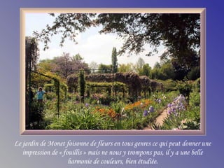 Le jardin de Monet foisonne de fleurs en tous genres ce qui peut donner une
impression de « fouillis » mais ne nous y trompons pas, il y a une belle
harmonie de couleurs, bien étudiée.
 
