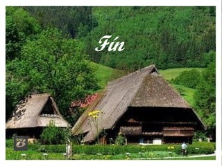 Fín
 