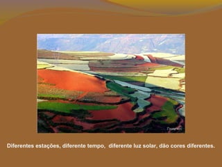 Diferentes estações, diferente tempo, diferente luz solar, dão cores diferentes.
 