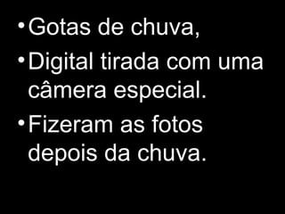 •Gotas de chuva,
•Digital tirada com uma
câmera especial.
•Fizeram as fotos
depois da chuva.
 