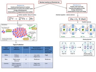 Option C Nuclear Physics, Radioactive decay and half life | PDF