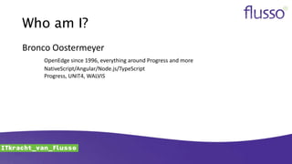 Who am I?
Bronco Oostermeyer
OpenEdge since 1996, everything around Progress and more
NativeScript/Angular/Node.js/TypeScript
Progress, UNIT4, WALVIS
 