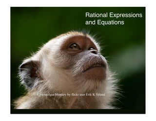 Rational Expressions
                                and Equations




Cynomolgus Monkey by flickr user Erik K Veland
 