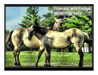 Domain and Range:
                              Matching Sets




Matched set by ﬂickr user K2D2vaca
 