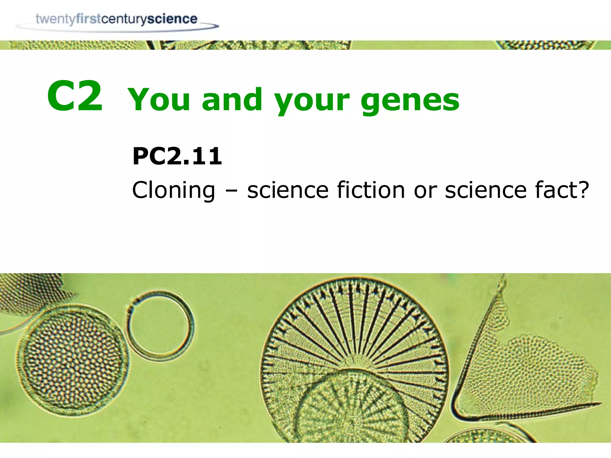 Cloning: Fact Vs. Fiction In 2024 - pojg9xd
