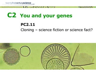 C2  You and your genes PC2.11 Cloning – science fiction or science fact? 