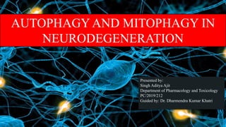 1
AUTOPHAGY AND MITOPHAGY IN
NEURODEGENERATION
Presented by:
Singh Aditya Ajit
Department of Pharmacology and Toxicology
PC/2019/212
Guided by: Dr. Dharmendra Kumar Khatri
 