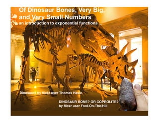 Of Dinosaur Bones, Very Big,
and Very Small Numbers
an introduction to exponential functions ...




Dinosaurs by ﬂickr user Thomas Hawk

                      DINOSAUR BONE? OR COPROLITE?
                      by ﬂickr user Fool-On-The-Hill
 