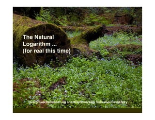 The Natural
Logarithm ...
(for real this time)




  Overgrown Redwood Log and Wildﬂowers by ﬂickr user David Sifry
 