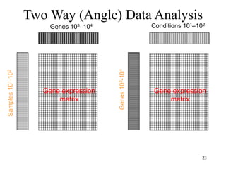 23
Two Way (Angle) Data Analysis
Genes 103–104
Samples
10
1
-10
2
Gene expression
matrix
Sample space analysis Gene space analysis
Conditions 101–102
Genes
10
3
-10
4
Gene expression
matrix
 