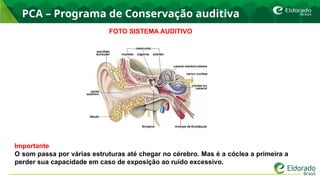 PCA – Programa de Conservação auditiva
FOTO SISTEMA AUDITIVO
Importante
O som passa por várias estruturas até chegar no cérebro. Mas é a cóclea a primeira a
perder sua capacidade em caso de exposição ao ruído excessivo.
 