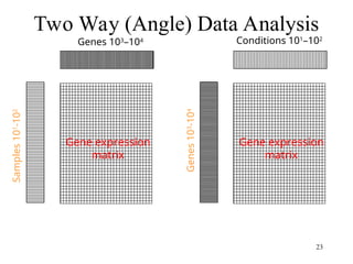 23
Two Way (Angle) Data Analysis
Genes 103
–104
Samples
10
1
-10
2
Gene expression
matrix
Sample space analysis Gene space analysis
Conditions 101
–102
Genes
10
3
-10
4
Gene expression
matrix
 