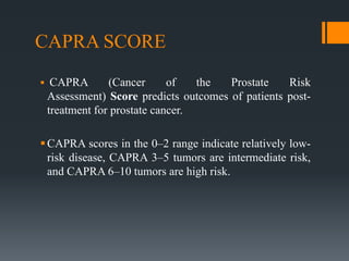 Prostate cancer Organ Confined by Dr. Ali Mujtaba | PDF