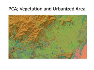 PCA; Vegetation and Urbanized Area

 