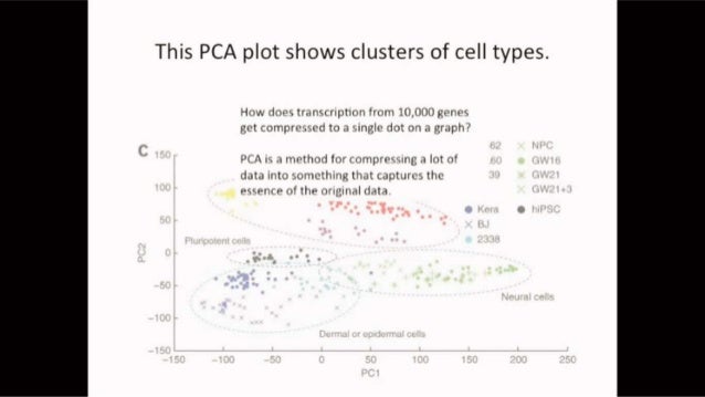 PCA and LDA in machine learning