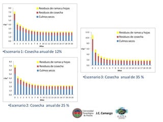 8,0
7,0
6,0

Residuos de ramas y hojas
Residuos de cosecha
Culmos secos

5,0

t ha-1 4,0
3,0
2,0
1,0

Residuos de ramas y hojas
Residuos de cosecha
Culmos secos

12,0
10,0

0,0
0 1 2 3 4 5 6 7 8 9 10 11 12 13 14 15 16 17 18 19 20
Años

•Escenario 1: Cosecha anual de 12%
8,0
7,0
6,0

Residuos de ramas y hojas
Residuos de cosecha
Culmos secos

5,0

8,0

t ha-1 6,0
4,0
2,0

0,0
0 1 2 3 4 5 6 7 8 9 10 11 12 13 14 15 16 17 18 19 20
Años

•Escenario 3: Cosecha anual de 35 %

t ha-1 4,0
3,0
2,0
1,0

0,0
0 1 2 3 4 5 6 7 8 9 10 11 12 13 14 15 16 17 18 19 20
Años

•Escenario 2: Cosecha anual de 25 %
J.C. Camargo

 